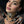 Load image into Gallery viewer, Dynasty Celeste Jet Studs