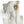 Load image into Gallery viewer, Dynasty Satine Champagne Crystal Studs