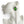 Load image into Gallery viewer, Dynasty Amara Peridot Studs