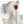 Load image into Gallery viewer, Dynasty Satine Ruby Crystal Studs