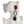 Load image into Gallery viewer, Dynasty Katherine Ruby Crystal Noir Earrings