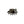 Load image into Gallery viewer, JET MINI EYE RING - JSS