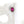 Load image into Gallery viewer, Dynasty Elizabeth Rose Stud
