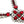Load image into Gallery viewer, DYNASTY SABELLA RUBY NECKLACE