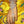 Load image into Gallery viewer, TITAN CRYSTAL SELENE GLOVE