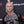 Load image into Gallery viewer, DYNASTY GLADIATOR CHOKER
