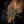 Load image into Gallery viewer, LUNAR DYNASTY - SOLUNAR SIREN CRYSTAL BURST NECKLACE
