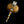 Load image into Gallery viewer, DYNASTY AURUM TITANIDE QUEEN EARRINGS
