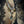Load image into Gallery viewer, Dynasty Étoile - Imperial Crystal Champagne Necklace
