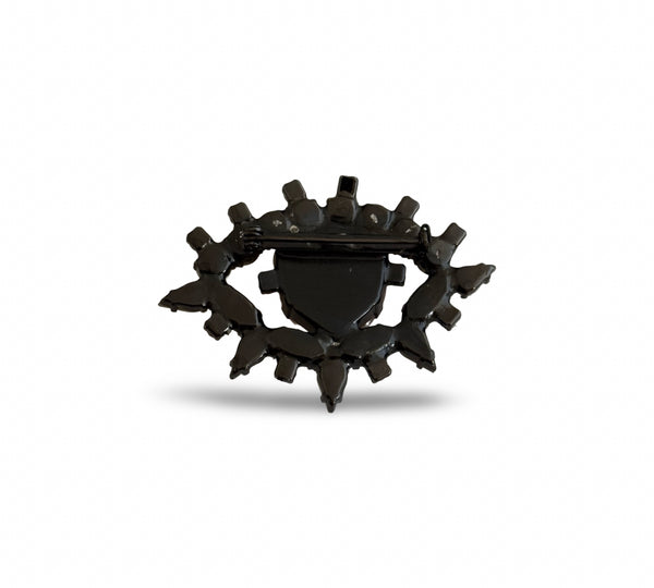 LUMIERE GOLDEN RUBY EYE BROOCH